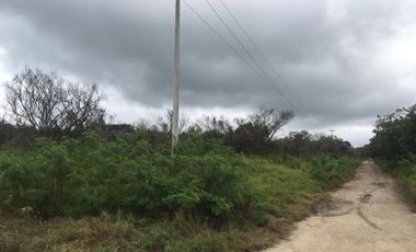 Terreno en venta por hectárea en carretera Mérida- Chicxulub