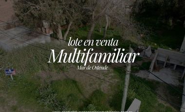 LOTE MULTIFAMILIAR / LEANDRO ALEM AL 1000