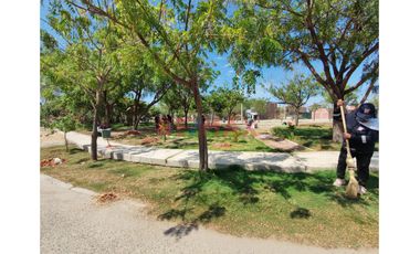 Terreno En Venta – Casuarinas I Etapa | Frente A Parque, Cerca A La Ucv 🌳