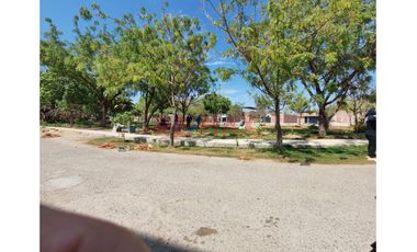 Terreno En Venta – Casuarinas I Etapa | Frente A Parque, Cerca A La Ucv 🌳