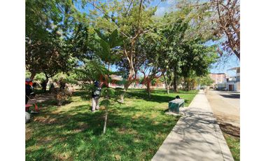 Terreno En Venta – Casuarinas I Etapa | Frente A Parque, Cerca A La Ucv 🌳