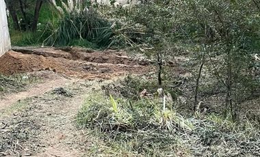 Terreno en venta en Calle Mimbres, Fraccionamiento Rancho San Juan