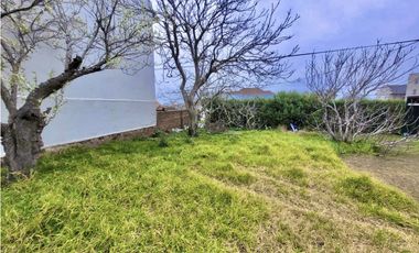 VENTA DE IMPORTANTE LOTE 446m2 EN BARRIO SAN CARLOS