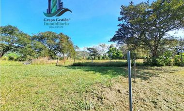 VENDO CASA CON TERRENO DE 1HECTAREA Y 8665M2