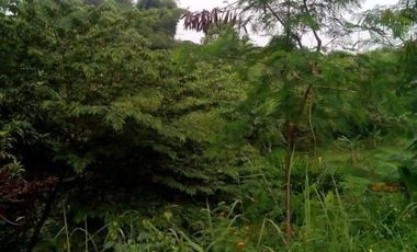 tanah komersil cocok untuk villa dan tempat wisata