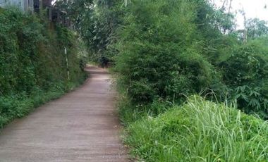 tanah komersil cocok untuk villa dan tempat wisata
