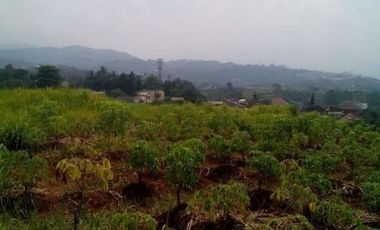 tanah komersil cocok untuk villa dan tempat wisata