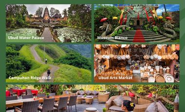 VILLA ELEGAN HARGA TERJANGKAU DI UBUD BALI