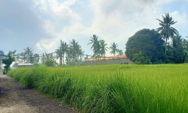 VILLA ELEGAN HARGA TERJANGKAU DI UBUD BALI