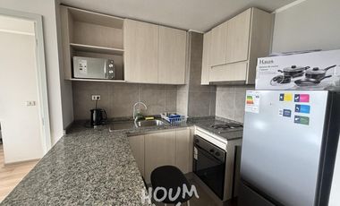 Departamento Recabarren ID: 168174r
