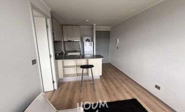 Departamento Recabarren ID: 168174r