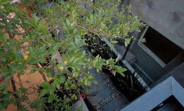 Casa con Alberca  Lujo  Moderna Valle Imperial