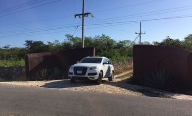 Rancho en VENTA  CON CENOTE  en Telchac Pueblo