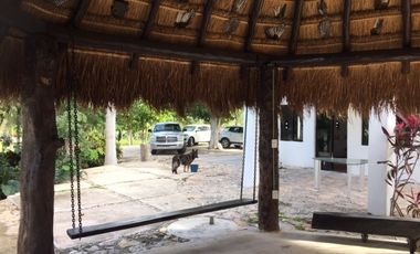 Rancho en VENTA  CON CENOTE  en Telchac Pueblo