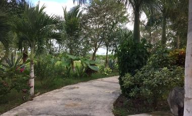Rancho en VENTA  CON CENOTE  en Telchac Pueblo