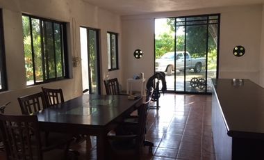 Rancho en VENTA  CON CENOTE  en Telchac Pueblo