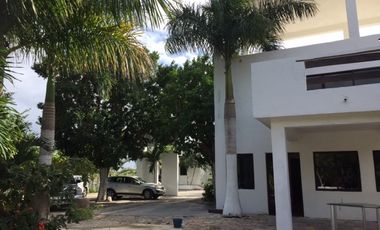 Rancho en VENTA  CON CENOTE  en Telchac Pueblo