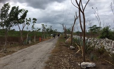 Rancho en VENTA  CON CENOTE  en Telchac Pueblo