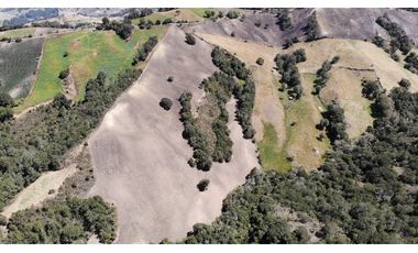 SE VENDE FINCA DE PRODUCCIÓN EN PARAMO ALTO COGUA