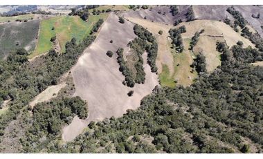 SE VENDE FINCA DE PRODUCCIÓN EN PARAMO ALTO COGUA