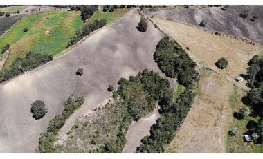 SE VENDE FINCA DE PRODUCCIÓN EN PARAMO ALTO COGUA