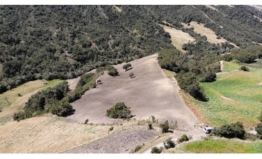 SE VENDE FINCA DE PRODUCCIÓN EN PARAMO ALTO COGUA