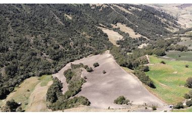 SE VENDE FINCA DE PRODUCCIÓN EN PARAMO ALTO COGUA