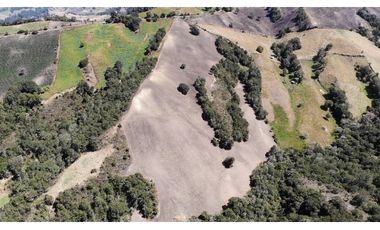 SE VENDE FINCA DE PRODUCCIÓN EN PARAMO ALTO COGUA
