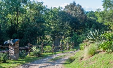 CASA EN RENTA, CON ENTORNO DE BOSQUE UBICADA EN PEÑA BLANCA
