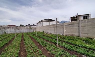 Investasi menguntungkan kavling tanah siap bangun dilalui angkot