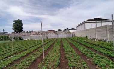 Investasi menguntungkan kavling tanah siap bangun dilalui angkot