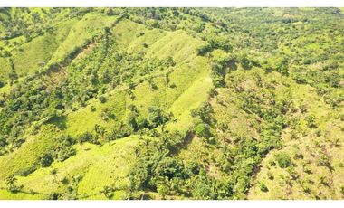 Se Vende Finca de 500 Hectáreas en Soná - Veraguas