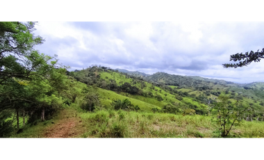 Se Vende Finca de 500 Hectáreas en Soná - Veraguas
