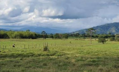 Se Vende Finca de 500 Hectáreas en Soná - Veraguas