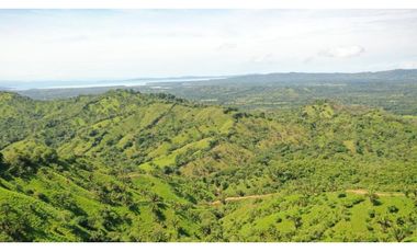 Se Vende Finca de 500 Hectáreas en Soná - Veraguas