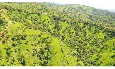 Se Vende Finca de 500 Hectáreas en Soná - Veraguas