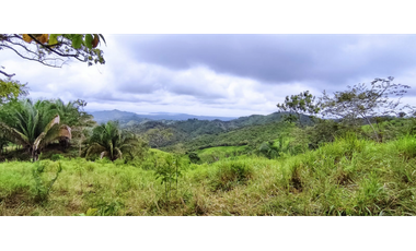 Se Vende Finca de 500 Hectáreas en Soná - Veraguas