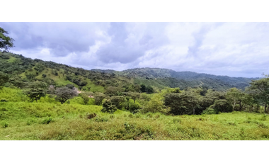 Se Vende Finca de 500 Hectáreas en Soná - Veraguas