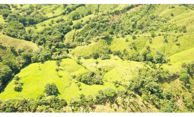 Se Vende Finca de 500 Hectáreas en Soná - Veraguas