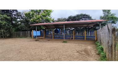 Se Vende Finca de 500 Hectáreas en Soná - Veraguas