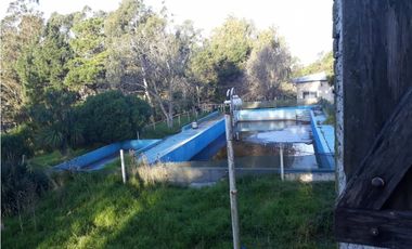 QUINTA 5 Ha ARBOLADAS 2 PILETAS N.GRAN SALON 450M2 2 VVDAS VARIOS DEST