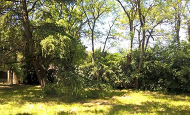 Quinta De 5 Ambientes - Ambrosetti 4400