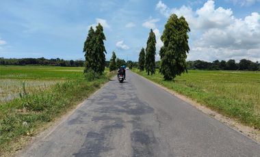 TANAH KAVLING MURAH DI PURWOREJO, 500 RB PERMETER