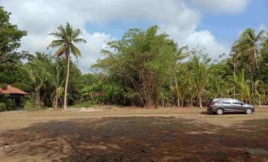 TANAH KAVLING MURAH DI PURWOREJO, 500 RB PERMETER