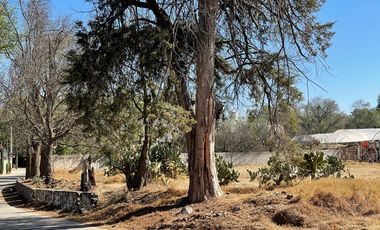 Terreno en Venta o Renta en Camino a Los Reyes, Atotonilco