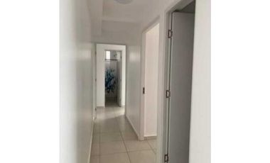 ALQUILER APARTAMENTO EL CRISOL