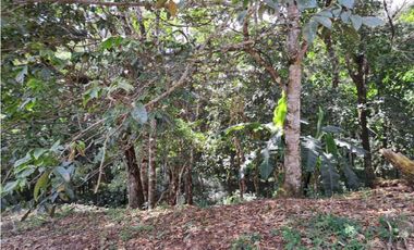 Lote 17500. Totalmente plano