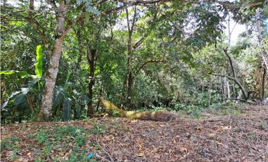 Lote 17500. Totalmente plano
