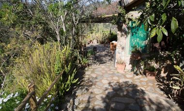 Vende 3 hectáreas Las Palmas Olmue
