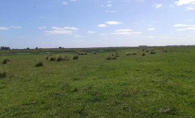 Campo en Capilla del Señor, Buenas Aires